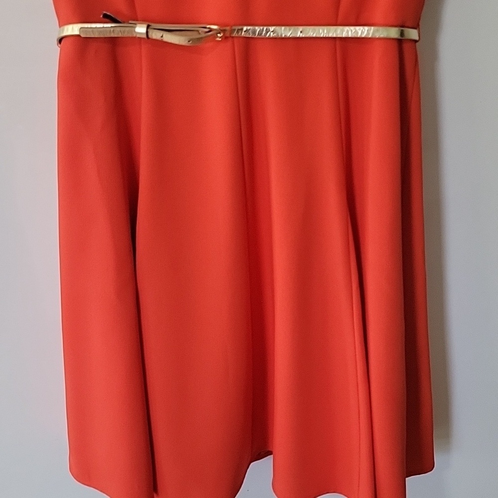 Gianni Bini Orange Fit & Flare Dress Gold Belt Cap Sleeve Size 6 - Picture 6 of 16